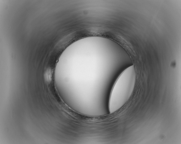 X0000091290075200708101035