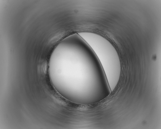 X0000091290076200708101035