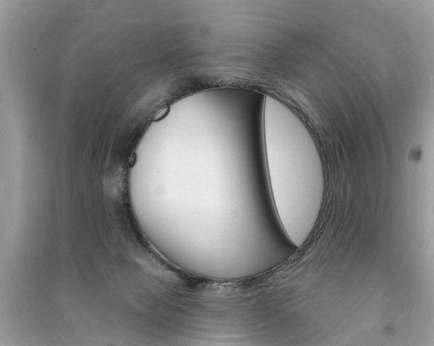 X0000091290077200708101035