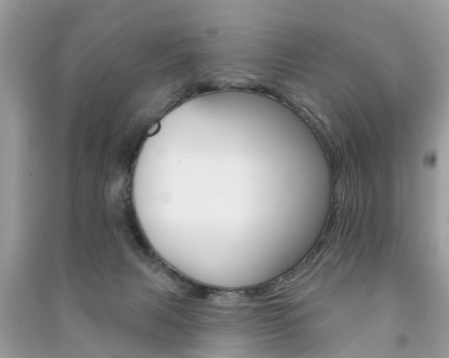 X0000091290079200708101035