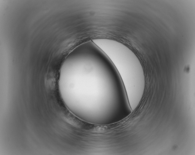 X0000091290080200708101035
