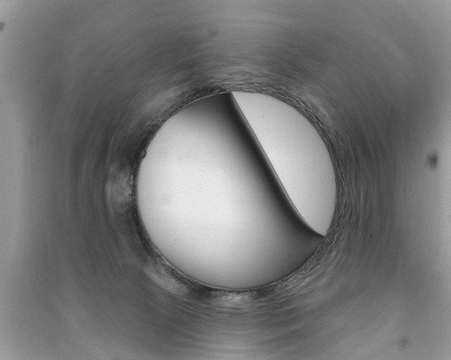 X0000091290081200708101035