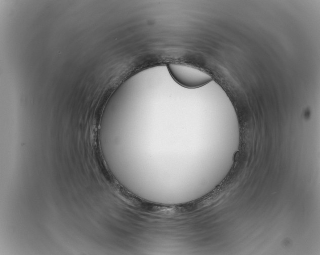 X0000091290083200708101035