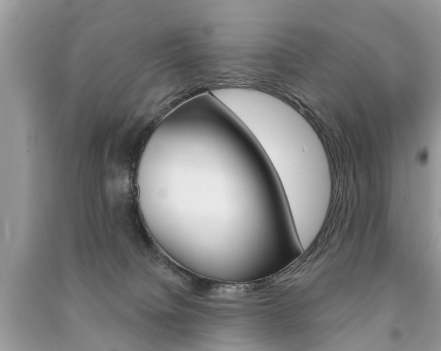 X0000091290084200708101036