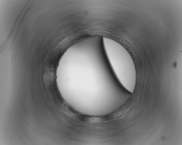 X0000091290085200708101036