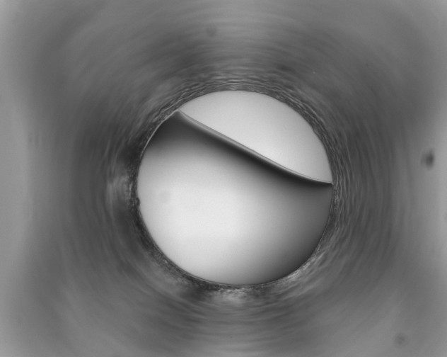 X0000091290086200708101036