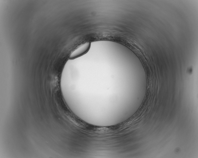 X0000091290087200708101036