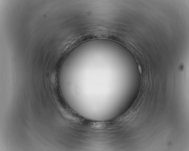 X0000091290088200708101036