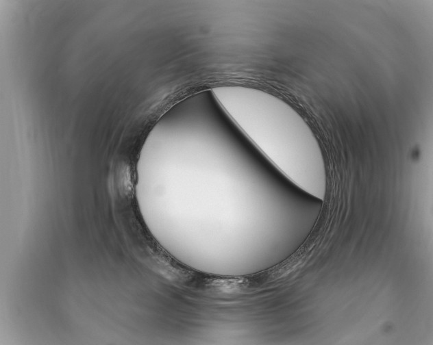 X0000091290089200708101036