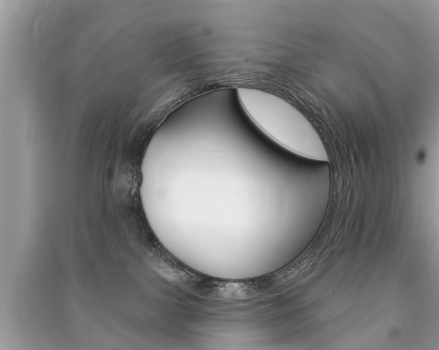 X0000091290091200708101036