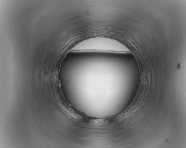 X0000091290092200708101036