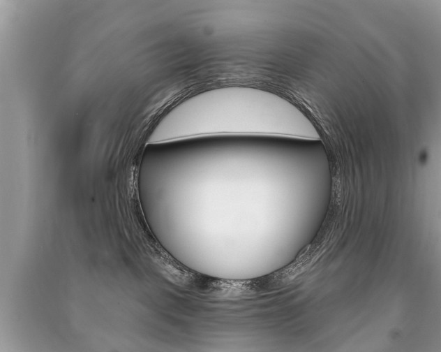 X0000091290093200708101036