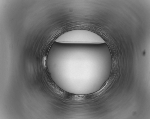 X0000091290094200708101036