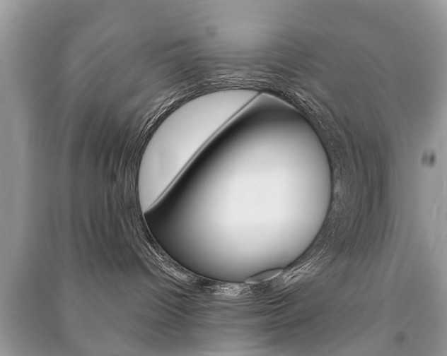 X0000091290096200708101036