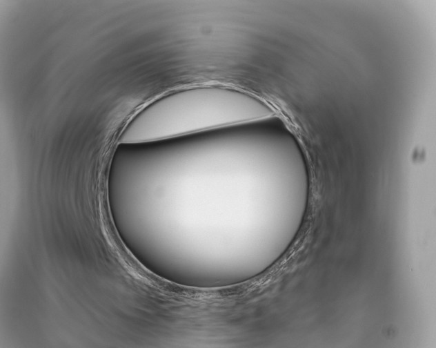 X0000091290097200708101035