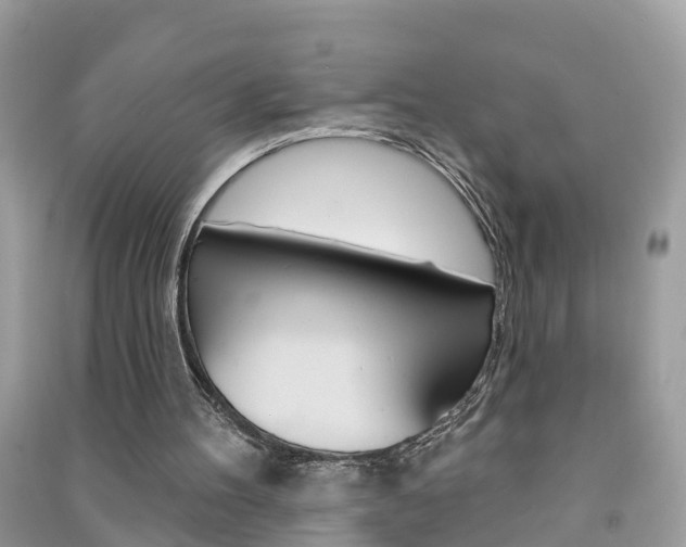 X0000091290100200708101035