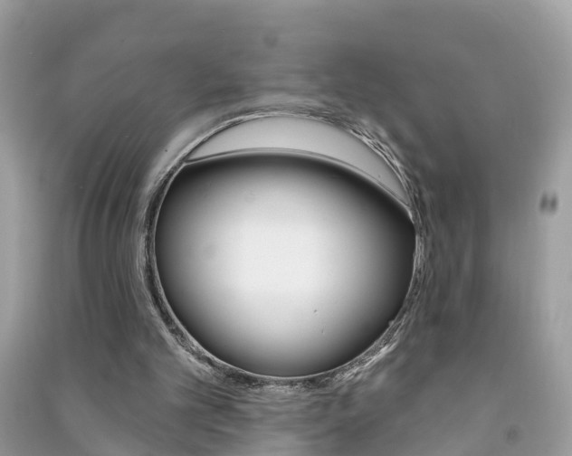 X0000091290101200708101035