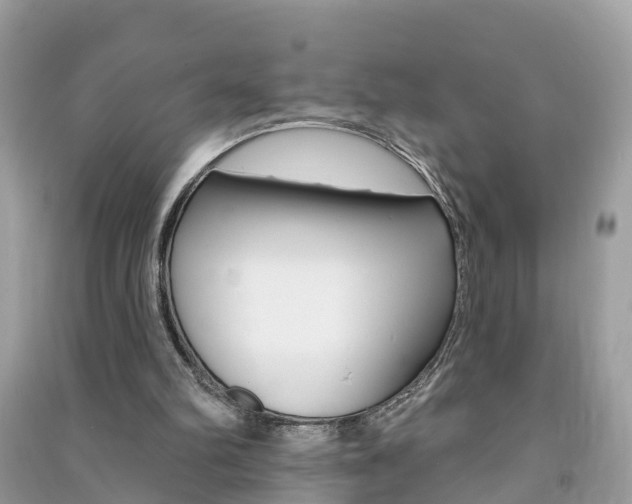 X0000091290102200708101035