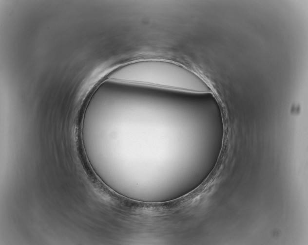 X0000091290103200708101035