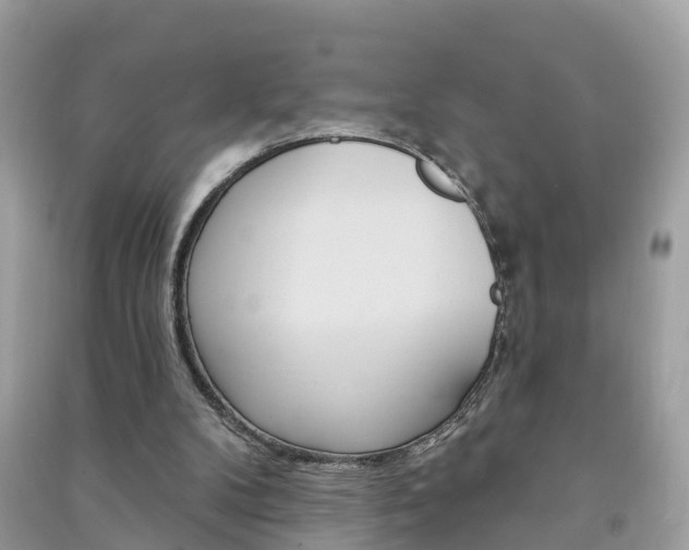 X0000091290104200708101035