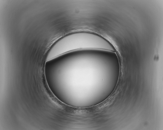 X0000091290105200708101035
