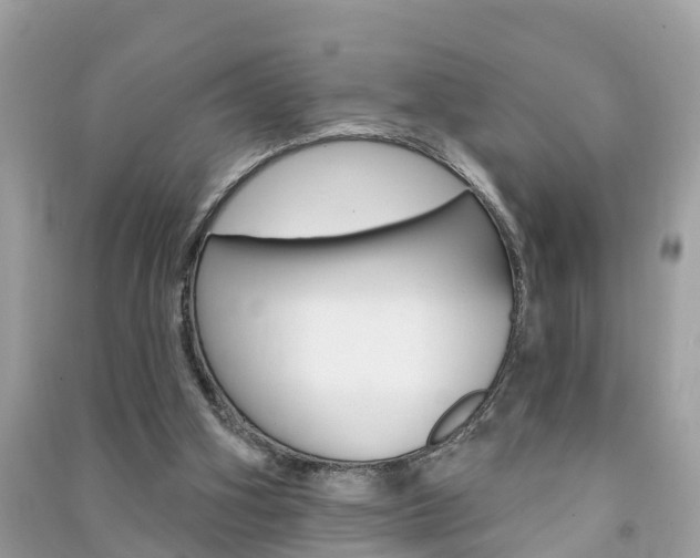 X0000091290106200708101035