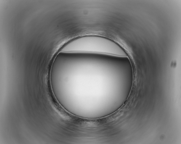 X0000091290107200708101035