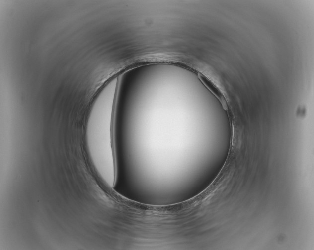 X0000091290109200708101035