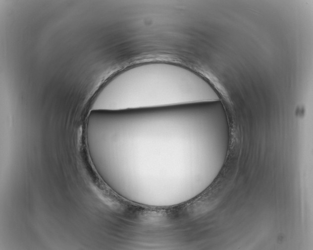 X0000091290110200708101035