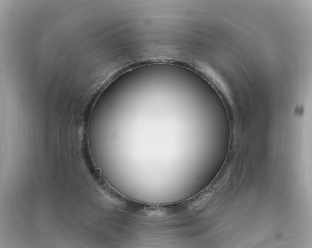 X0000091290113200708101035