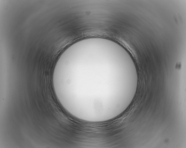 X0000091290117200708101034