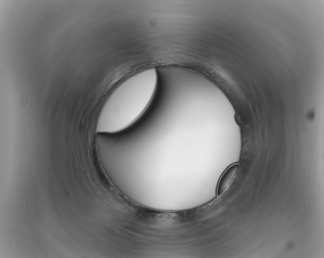 X0000091290124200708101034