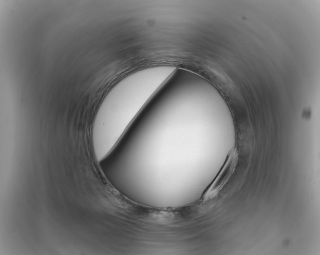 X0000091290125200708101034