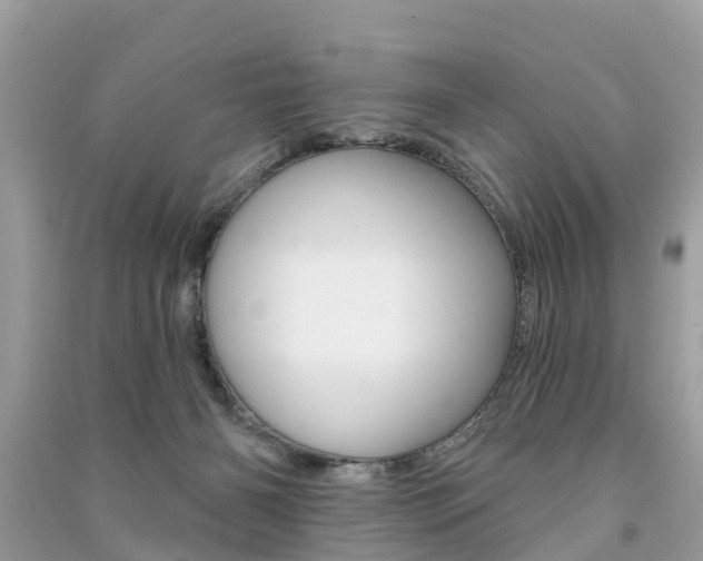 X0000091290126200708101034
