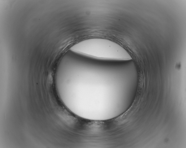 X0000091290128200708101034
