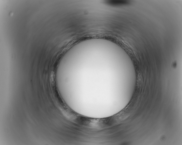 X0000091290130200708101034
