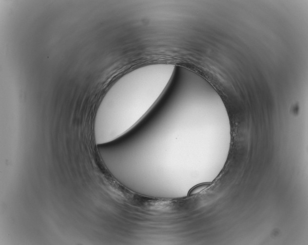 X0000091290132200708101034