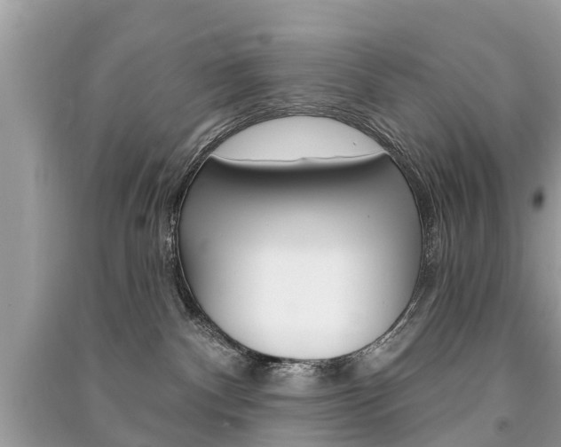 X0000091290140200708101034