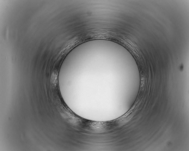 X0000091290142200708101034