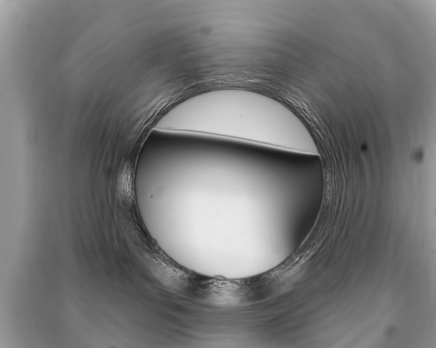 X0000091290143200708101034