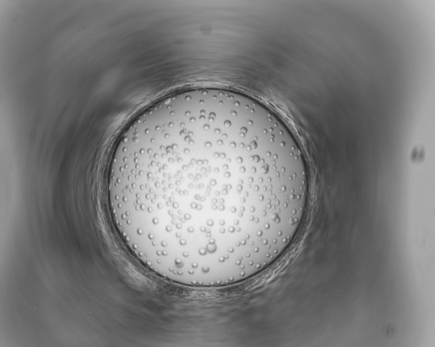 X0000091290145200708101033