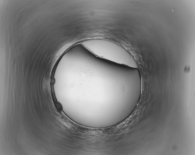 X0000091290147200708101034