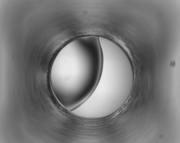 X0000091290154200708101034