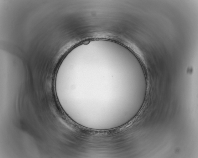 X0000091290155200708101034