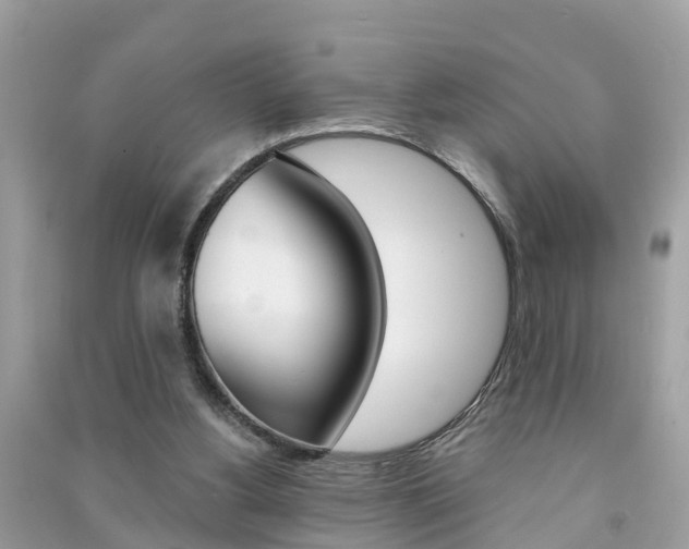 X0000091290156200708101034