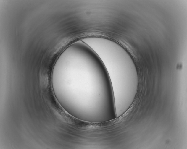 X0000091290158200708101034