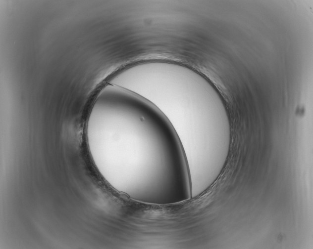 X0000091290160200708101034