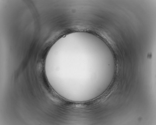 X0000091290165200708101034
