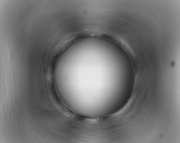 X0000091290170200708101034