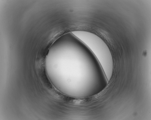 X0000091290172200708101034